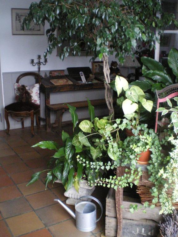 Bed and Breakfast Au Bon Gre D'Hugoline Blanzac  Екстер'єр фото