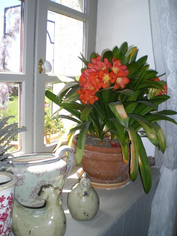 Bed and Breakfast Au Bon Gre D'Hugoline Blanzac  Екстер'єр фото